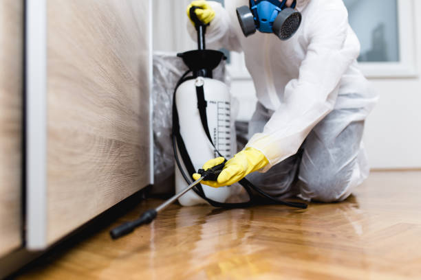 Best Exterminator Services  in Margate, FL