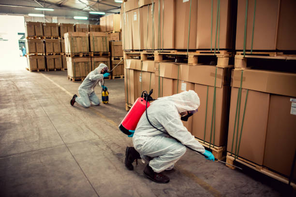 Reliable Margate, FL Pest Control Solutions