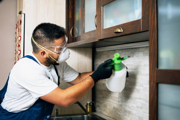 Best Mosquito Control Services  in Margate, FL
