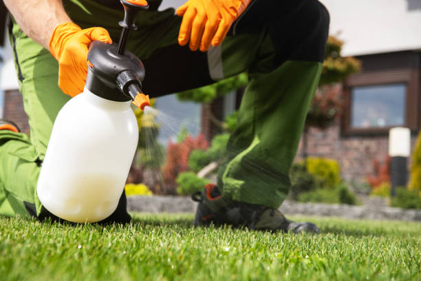 Best Best Pest Control Companies  in Margate, FL