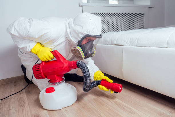 Best Pest Removal Services  in Margate, FL