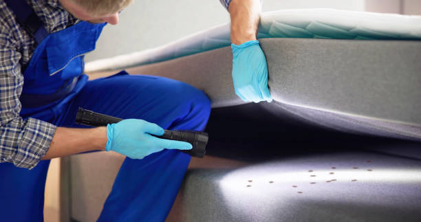 Best Pest Prevention Services  in Margate, FL