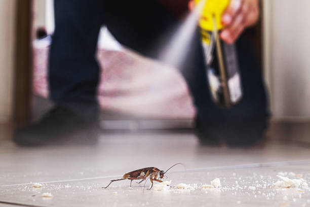 Pest Prevention Services in Margate, FL