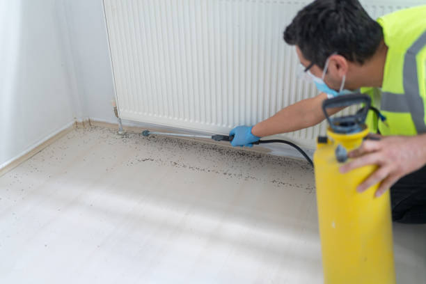 Best Pest Inspection Near Me  in Margate, FL